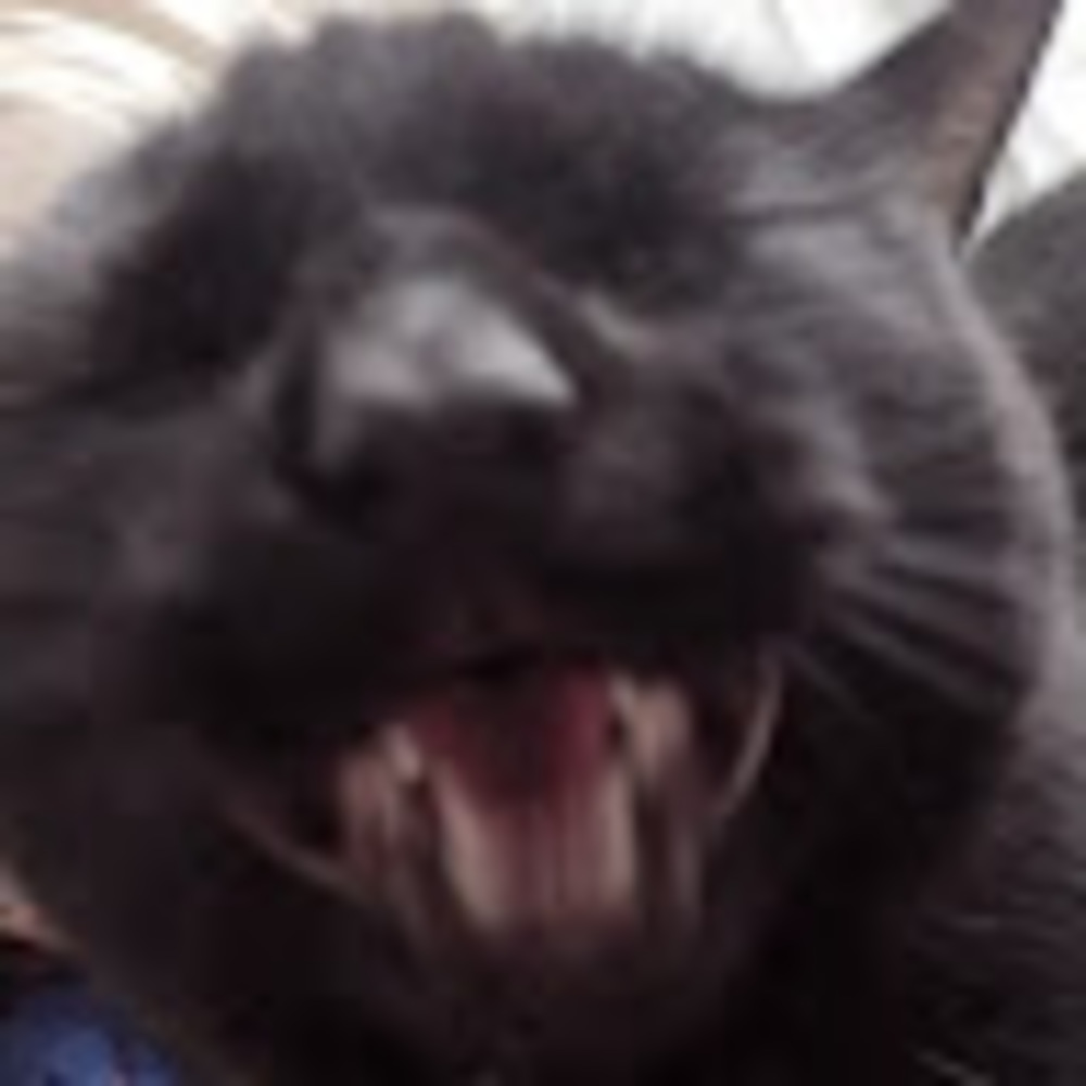 Meet your Posher, Michaela